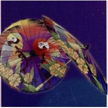 Paper Luau Parrot Parasol