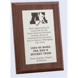 Employee Recognition Award Plaques (8"x10")