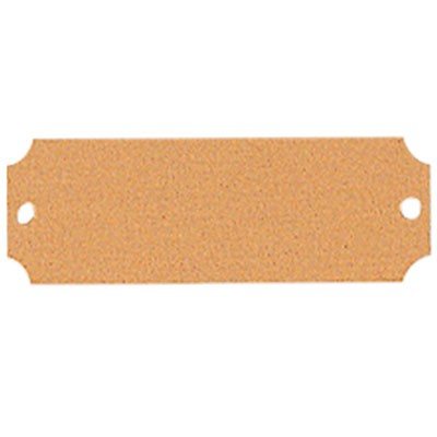 Satin Brass Plate w/Notched Corners & 2 Holes (3" x 1")