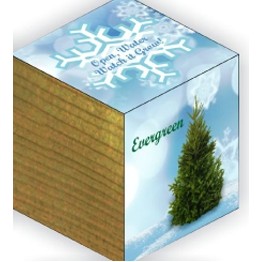 Plant Cube™ - Evergreen