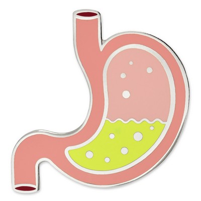 Human Stomach Pin