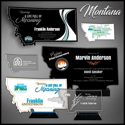 12" Montana Black Budget Acrylic Award