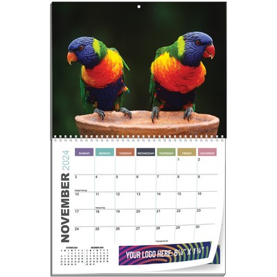 12 Photos Stock Wall Calendars (11"x17")