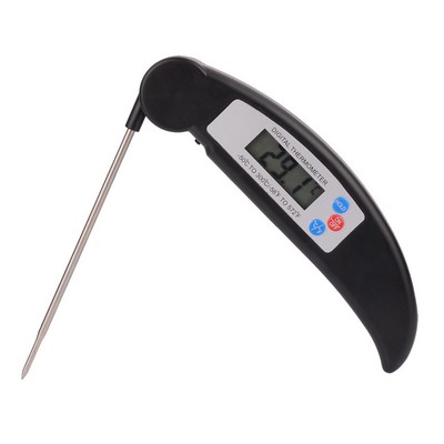 Digital Thermometer with Folding Probe