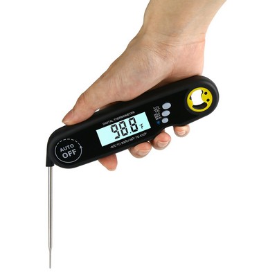 Electronic Meat Thermometer