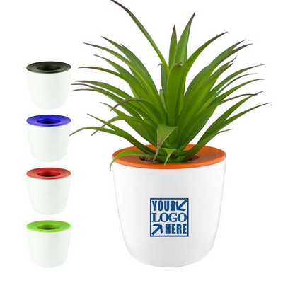 Eco Friendly Mini Plastic Plant Pot