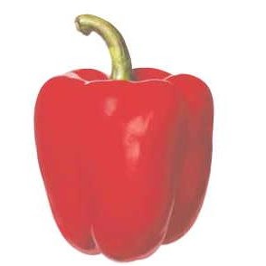 Bell Pepper Promotional Magnet w/ Strip Magnet (12 Square Inch)