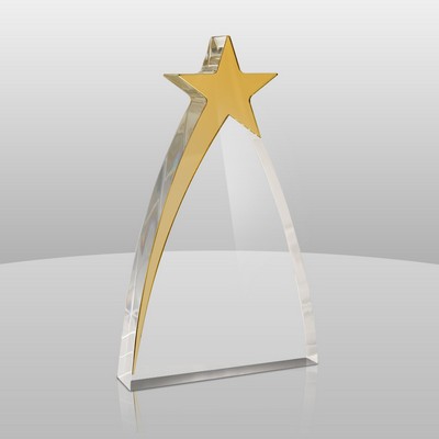 New Star Award (7"x4"x1")