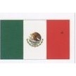 Mexican Flag Stock Temporary Tattoo