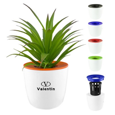 3" Plant Pot