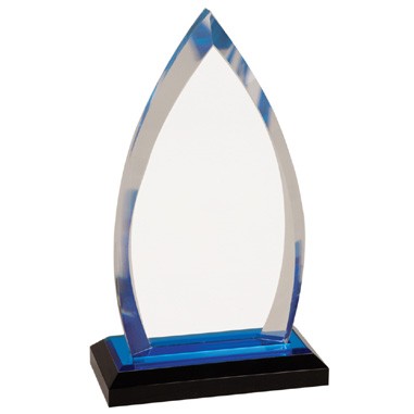 8 inch Oval Acrylic Award