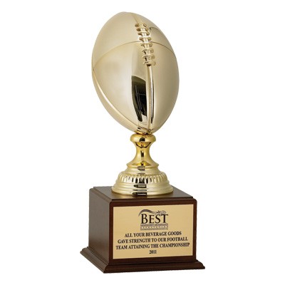 18½" Gold Metal Football Trophy w/12" Long Ball