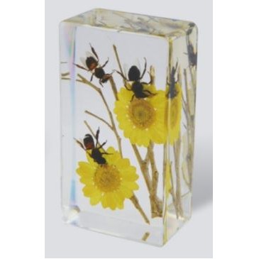 Lucite Piece with Real Honeybee, 1 5/8 x 2 7/8 x 1"