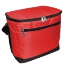 Liberty Bags® 12 Pack Cooler