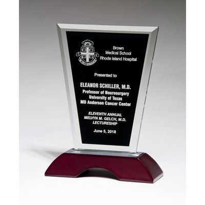 Clear Glass Award With Black Silk Screened Background-10"