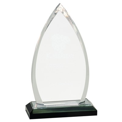 8 3/4" Silver Oval Impress Acrylic Award