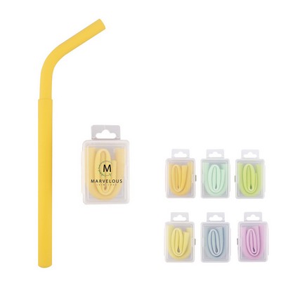 Collapsible Silicone Reusable Straw in ABS Plastic Case