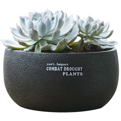 Round Concrete Indoor Decorative Planter Pots