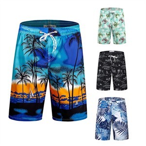 Men's Swim Trunks