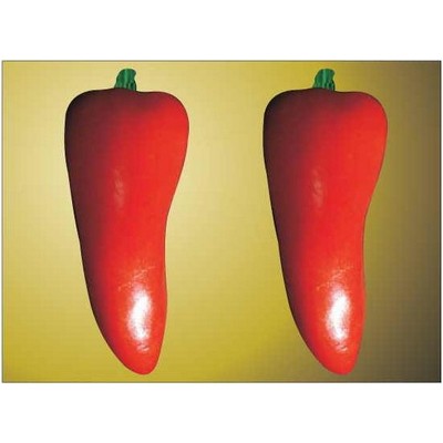 Red Chili Pepper Metal Photo Magnet (2 1/2"x3 1/2")