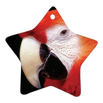 3" Full Color Ceramic Star Ornament