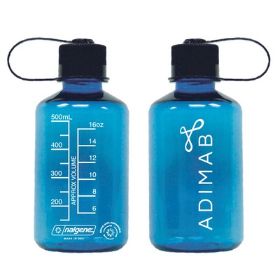 16 Ounce Narrow Mouth Nalgene Sustain Bottle