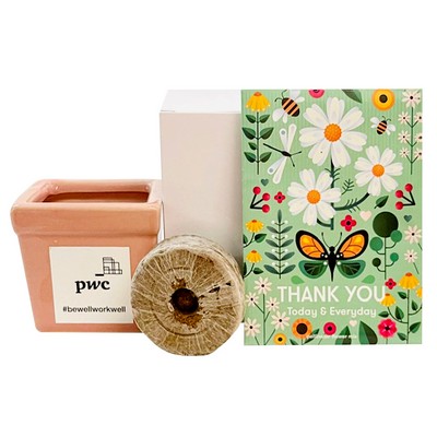 Thank You Today & Everyday Flower Seed Kit in Ceramic Pot