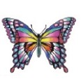 Butterfly (Multicolor) Stock Temporary Tattoo