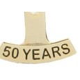 50 Year Stock Die Struck Pin