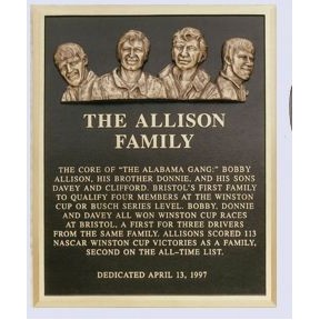 Cast Bronze Plaques (10"x12")