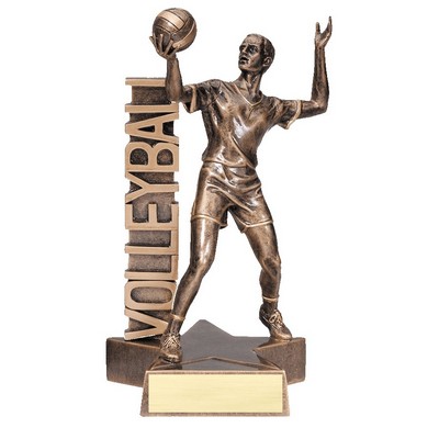 6.5" Male Volleyball Billboard Resin Series Trophy