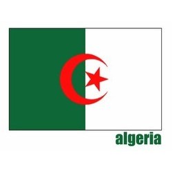 36"W x 24"H National Flag, Algeria, Single-Sided