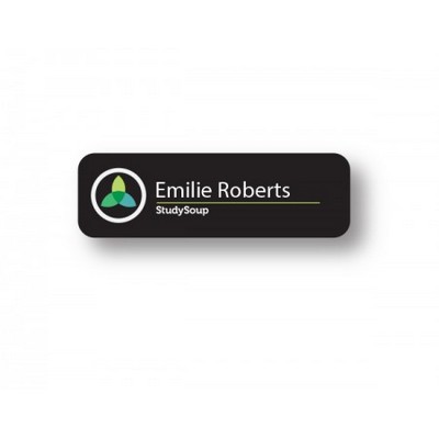 Plastic Stickpin Name Badge (2"x5/8")