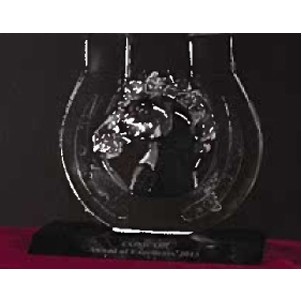 Crystal Sculpted Horseshoe Award w/Horse Head Sculpture