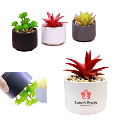 Artificial Succulents Plants In Ceramic Pots