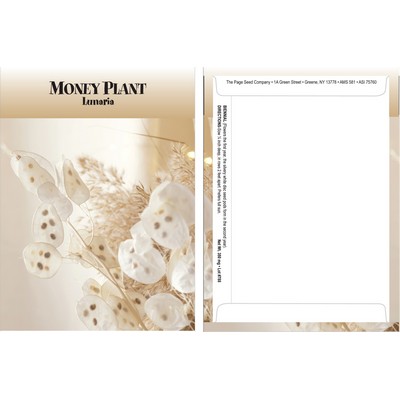 Standard Series Money Plant Seed Packet