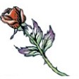 Long Stemmed Red Rose Stock Temporary Tattoo