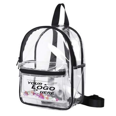 Transparent backpack