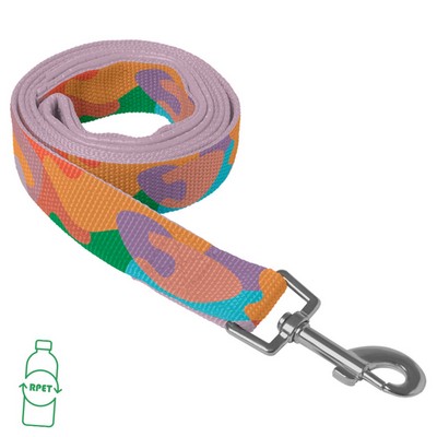 RPET Loop Handle Pet Leash with Snap Carabiner