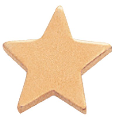 ½" Flat Gold Star Pin