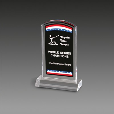 Freedom Corporate Stars Stripes Award™ (5"x7¾")