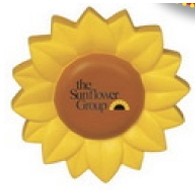 Sunflower Food Series Stress Toys