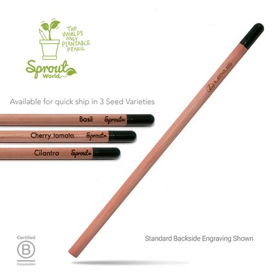 Sprout Pencil The Original Plantable Pencil