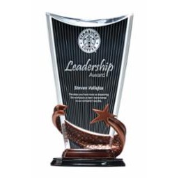 Bronze Brilliance Star Arch Award With Radiant Background