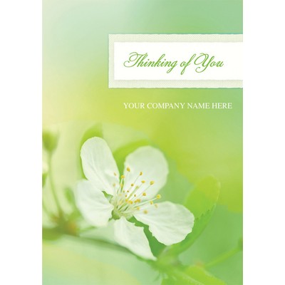 Apple Blossom Sympathy Cards