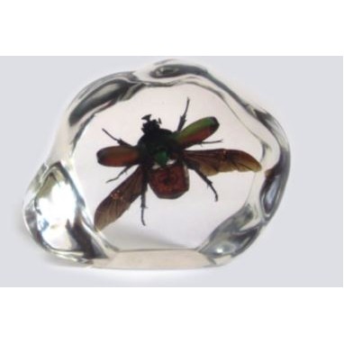 Lucite Paperweights with Real Green Chafer Beetle, 2.91"X2.48"X 0.98"