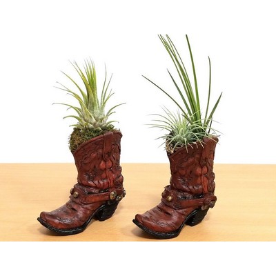 Cowboy Boot with Air Plant