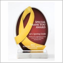 Acrylic Awareness Award