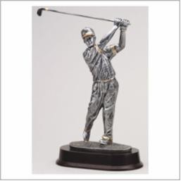 Male Golf Swing Championship Award