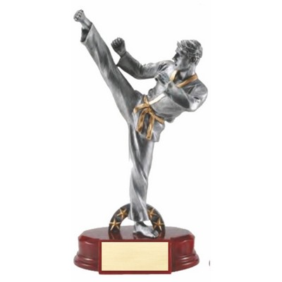 9" Male or Female Karate Resin Trophy